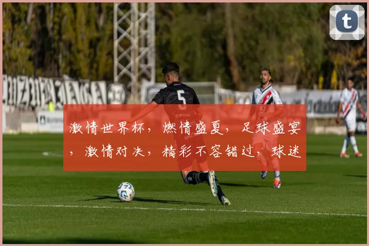 激情世界杯，燃情盛夏，足球盛宴，激情对决，精彩不容错过，球迷狂欢