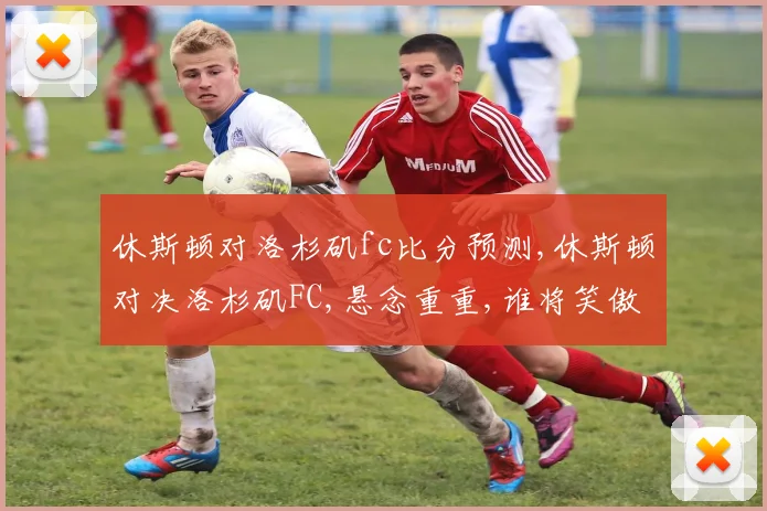 休斯顿对洛杉矶fc比分预测,休斯顿对决洛杉矶FC,悬念重重,谁将笑傲赛场