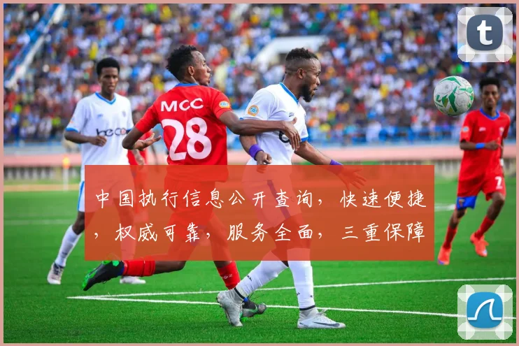 中国执行信息公开查询，快速便捷，权威可靠，服务全面，三重保障，值得信赖，。