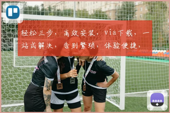 轻松三步，高效安装，via下载，一站式解决，告别繁琐，体验便捷，安装无忧。